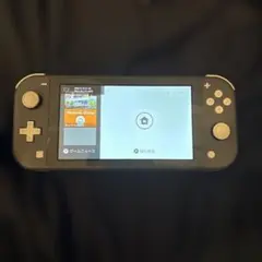 Nintendo Switch Lite グレー 本体