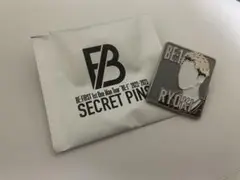 RYOKI シークレットピンズ