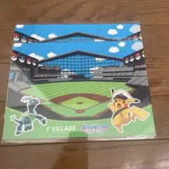 ポケモン 下敷き　2枚セット　エスコン
