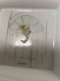 Item thumbnail for item 05d23980-ea5b-498c-8588-bbd8e7a4f71c