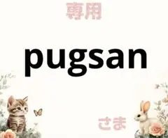 専用