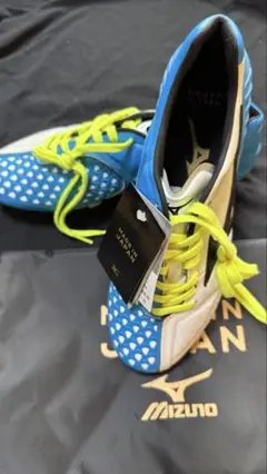【即日発送 希少廃盤 未使用】mizuno ウエーブイグニタス4 MD 26cm MIZUNO ミズノ イグニタス 4 MD(ホワイト×ブラック) P1GA163209