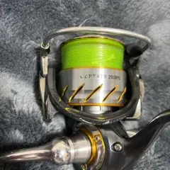 ダイワ 16 セルテート 2508PE☆スピニング★早い者勝ち★処分品★釣り引退 ダイワ(Daiwa) 16セルテート2508PE 00056306｜アウトドア用品