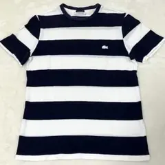 ラコステ EXCLUSIVE EDITION 鹿子　半袖ボーダーTシャツ