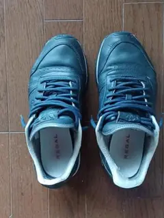 Item thumbnail for item e236c414-fac9-4b44-9590-433992e45c71