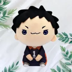 ハイキュー!! もちぴこぬいぐるみ⑤ 澤村大地