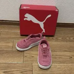 Item thumbnail for item e95d1659-5cb8-4c68-839d-84fe4ade2129