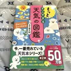 もっとすごすぎる天気の図鑑　荒木健太郎さん