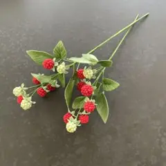 クレイフラワー　ラズベリー