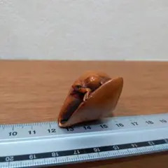 Item thumbnail for item 3e48f211-32aa-4274-9505-c6e2b9052a91