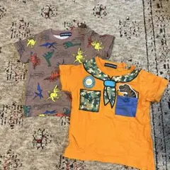 Little Bear Club 恐竜&キャンプTシャツ 2枚セット 90cm