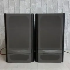 2025年最新】sony ss-vf1の人気アイテム - メルカリ
