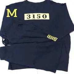 Item thumbnail for item 7c6a2345-6f93-4199-8ad0-66368b490f0c