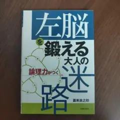 左脳を鍛える大人の迷路 : 論理力がつく