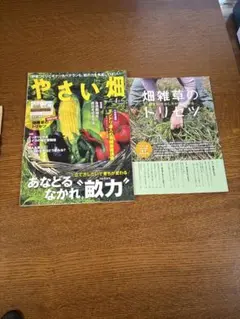 やさい畑 2024年4月号