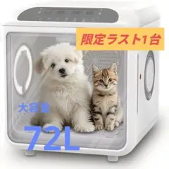 Item thumbnail for item 09455eed-52f6-4b1f-ba3e-7920316806d1