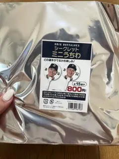 ORIX BUFFALOES シークレットミニうちわ SOTANI 17