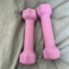 BODY パープルダンベル 0.5kg