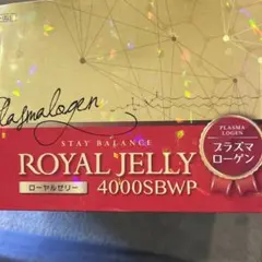NHC ローヤルゼリー4000SBWP NHC ローヤルゼリー 4000
