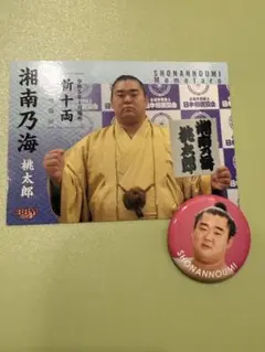 大相撲　湘南乃海 桃太郎 カード バッジセット
