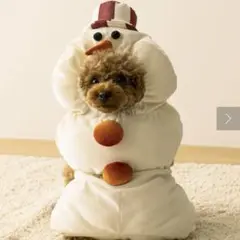 Item thumbnail for item fbc7fbbc-8c0b-4d63-847f-d5a7265c4708