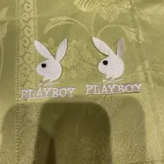 PLAYBOY ワッペン 白　大