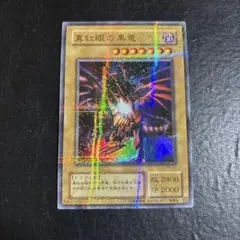 遊戯王　真紅眼の黒竜　ウルパラ