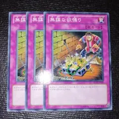 2592 無謀な欲張り 3枚セット