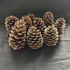 Item thumbnail for item 853e385d-86ec-472d-a606-bd0187a641be