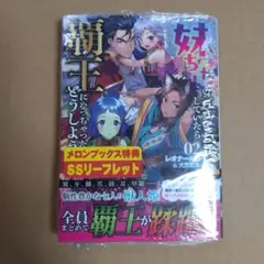 妹ちゃんの言うとおりにしていたら覇王になっちゃったけど、どうしよう? 2