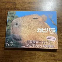 カピバラ 渡辺克仁