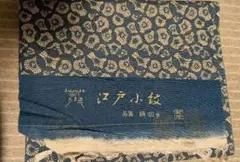 Item thumbnail for item d9b094e6-5edb-40d1-8f4b-99e99649d50a