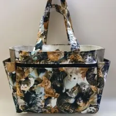 Item thumbnail for item ef933c7a-1342-49d7-ba9f-fa67667852c1