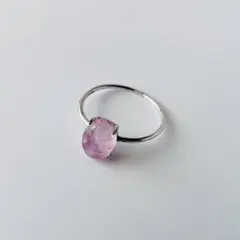 Item thumbnail for item 98e3ba99-f652-4151-b74a-96a25d046473