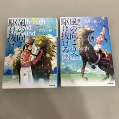 風の向こうへ駆け抜けろ
