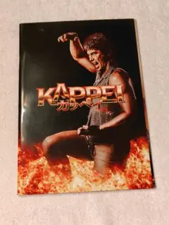 KAPPEI カッペイ パンフレット
