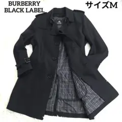 Item thumbnail for item 378ae239-2824-45d3-8bf0-78d37f7c79f3