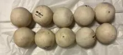 サンドボール　300g　10個セット