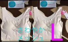 ▲⑭LさわやかメッシュグンゼGUNZEキレイラボKL7555Nハーフブラトップ