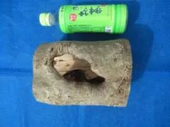 天然 樹洞 クワリウム 登り木 №102