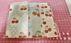 Item thumbnail for item 174e716a-5939-4c7a-b6c1-de2a053a2280