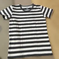 ストライプ Tシャツ 150