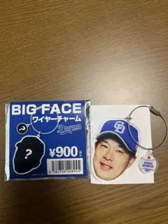 中日ドラゴンズ　ドラゴンズストア　BIG FACE ワイヤーチャーム　堂上直倫
