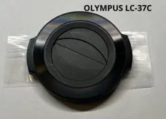 Item thumbnail for item 20f686d3-6065-4e06-9404-7095a2859ef0