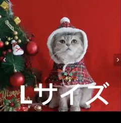 Item thumbnail for item 43d7a3ff-86d8-4ed0-847a-998f4f8ccc6b