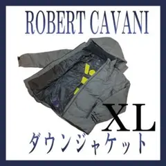 2025年最新】ROBERT cavani ダウンの人気アイテム - メルカリ