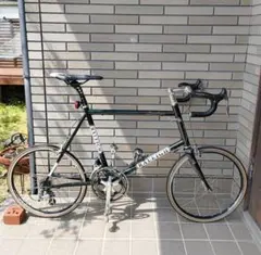 （宮崎）RALEIGH RSC RSW Carlton 460mm ラレー Raleigh RSC RSW Carlton ミニベロロード