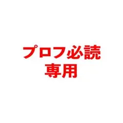 プロフ必読専用