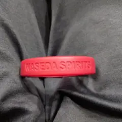 非売品。早稲田大学陸上部。ジャージ、ユニフォーム、ロンT。まとめ売りLsize 非売品。早稲田大学陸上部。ジャージ、ユニフォーム、ロンT