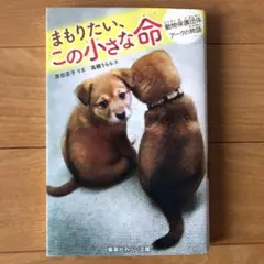 まもりたい、この小さな命　本